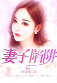 妻子的陷阱电视剧免费观看全集