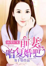 霸宠前妻之腹黑儿子免费阅读