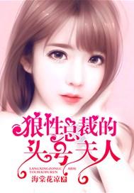 狼性总裁的挂名妻全文阅读