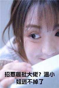 招惹