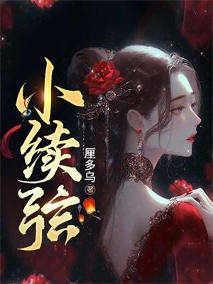 小续弦TXT全本