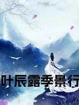 主人公叶晨辰免费阅读