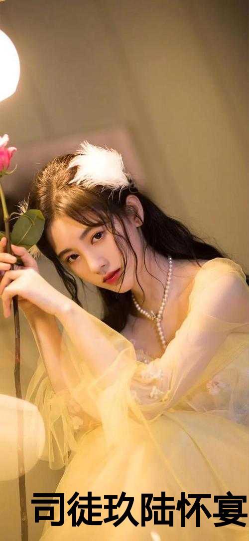 男主司徒赫女主陆锦仪