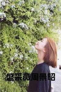 盛夏采薇的书为什么没了