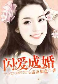 宠上瘾 高冷喵子