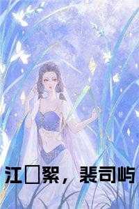 江枔絮裴司屿全集