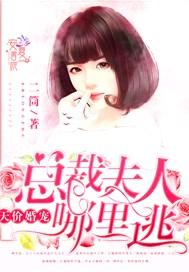 天价宠妻总裁夫人别想逃