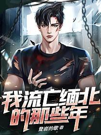 流在缅北的血完整版