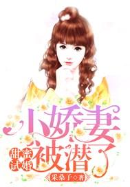 小甜蜜免费全文阅读