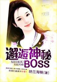 邂逅神秘boss全文免费阅读