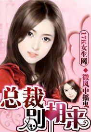 总裁 别胡来
