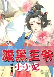 腹黑王爷小妖妃