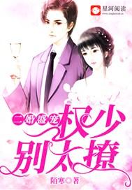 盛宠二婚妻