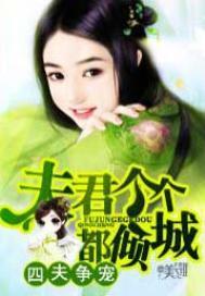 四夫争宠夫君个个都倾城全本免费