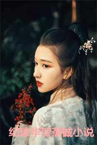 女主纪琼华贺燕铖的