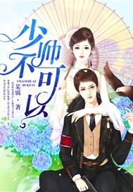 少帅不可以免费阅读txt