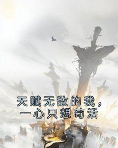 林枫冷寒霜穿越