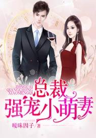 总裁强宠小萌妻伊小小的