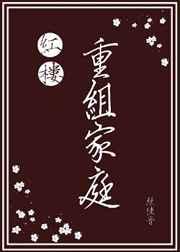 红楼重组家庭TXT百度