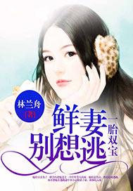 鲜妻一胎双胞总裁独宠妻