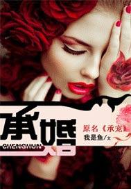 承婚记电视剧免费观看完整版高清