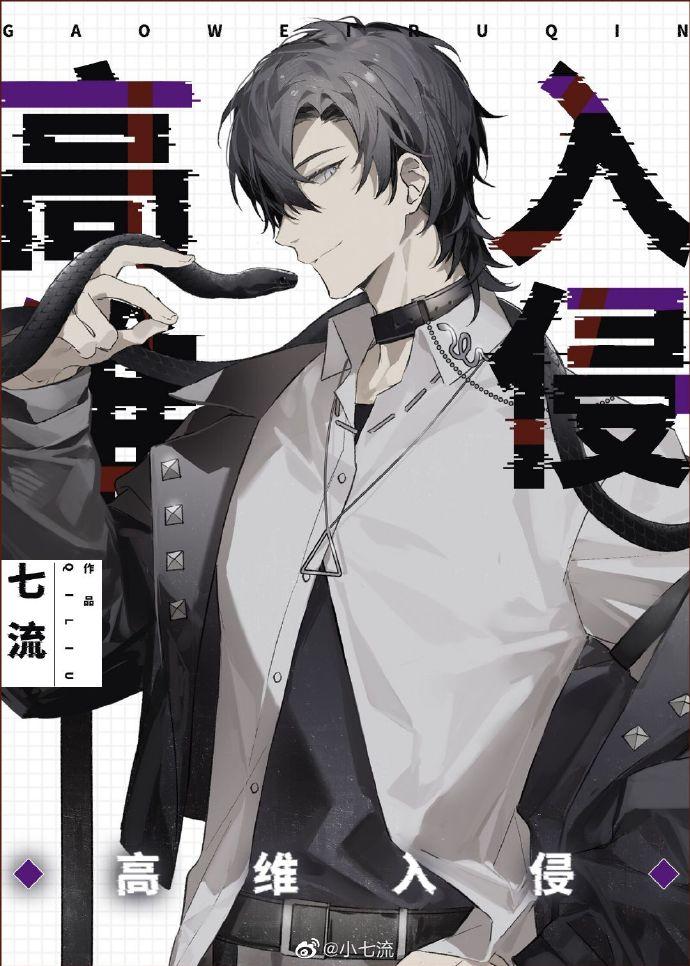 高维入侵无防盗无错