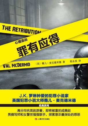 心理追凶 2008特别篇 电视剧