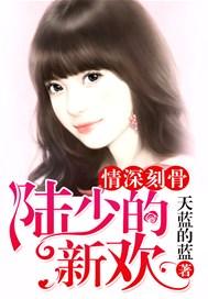 情深浅浅男主陆情深