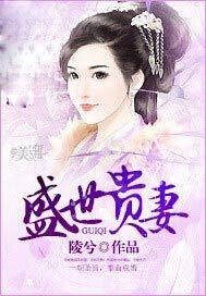 盛世皇贵妃全文阅读