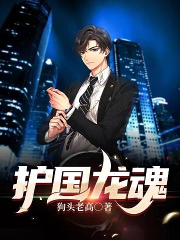 护国龙魂第2