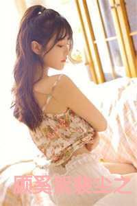 女主叫裴奚若的