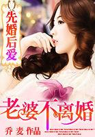 先婚后爱老婆不离婚免费阅读景染