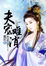 夫宠难消共妻
