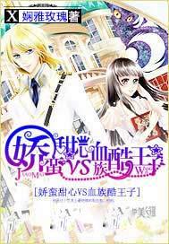 psp星之海洋完美汉化版