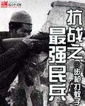 抗战之最强民兵TXT