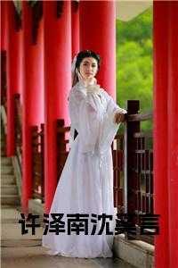 许夕颜沈寒言