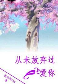 从未放弃爱你吉他谱原版