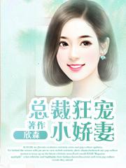 高冷总裁狂宠小娇妻第29集