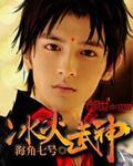 冰火武神txt