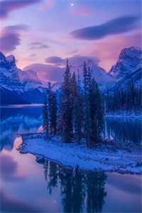 天下第一妃是谁