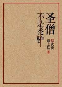 综武侠圣僧无防盗