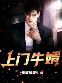 上门傻婿电视剧