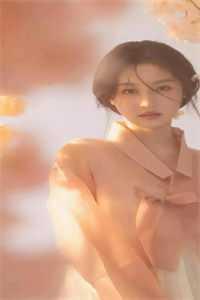 权途红颜全文免费正版阅读