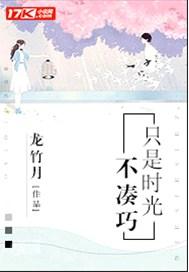 只是时光不凑巧什么意思