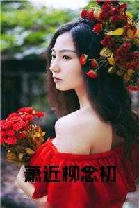 萧靳柳柳