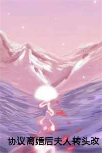 协议离婚后夫人转头改嫁结局