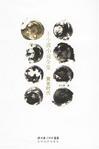 黄金时代打一数字