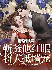 离婚重逢靳爷他红眼将人抵墙宠免费