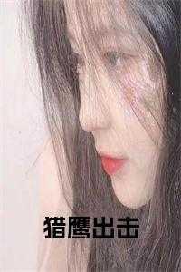 猎鹰出击在线观看