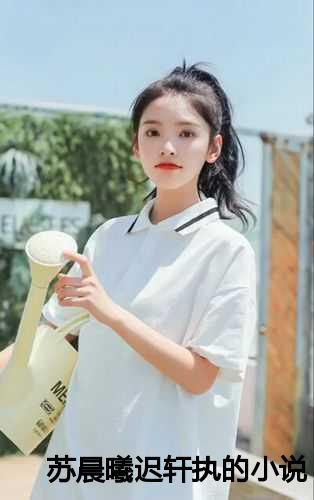 苏晨曦迟轩执的叫什么